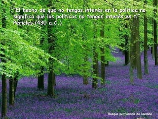 “El hecho de que no tengas interés en la política no
significa que los políticos no tengan interés en ti”.
Pericles (430 a.C.)

Bosque perfumado de lavanda

 