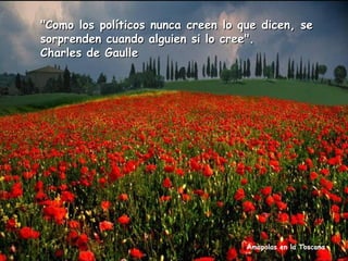 "Como los políticos nunca creen lo que dicen, se
sorprenden cuando alguien si lo cree".
Charles de Gaulle

Amapolas en la Toscana

 