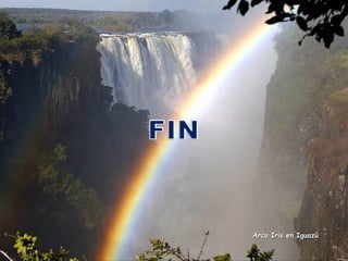 Arco Iris en Iguazú

 