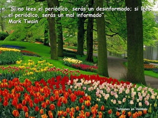 “Si no lees el periódico, serás un desinformado; si lees
el periódico, serás un mal informado”.
Mark Twain

Tulipanes en Holanda

 