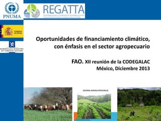 Oportunidades de financiamiento climático,
con énfasis en el sector agropecuario
FAO. XII reunión de la CODEGALAC
México, Diciembre 2013

 