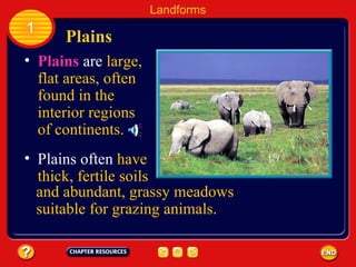 Plains   are  large, flat areas, often found in the interior regions of continents. Plains Landforms 1 Plains often  have thick, fertile soils and abundant, grassy meadows suitable for grazing animals. 