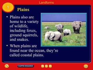 Plains Landforms 1 Plains also are home to a variety of wildlife, including foxes, ground squirrels, and snakes. When plains are found near the ocean, they’re called coastal plains.   