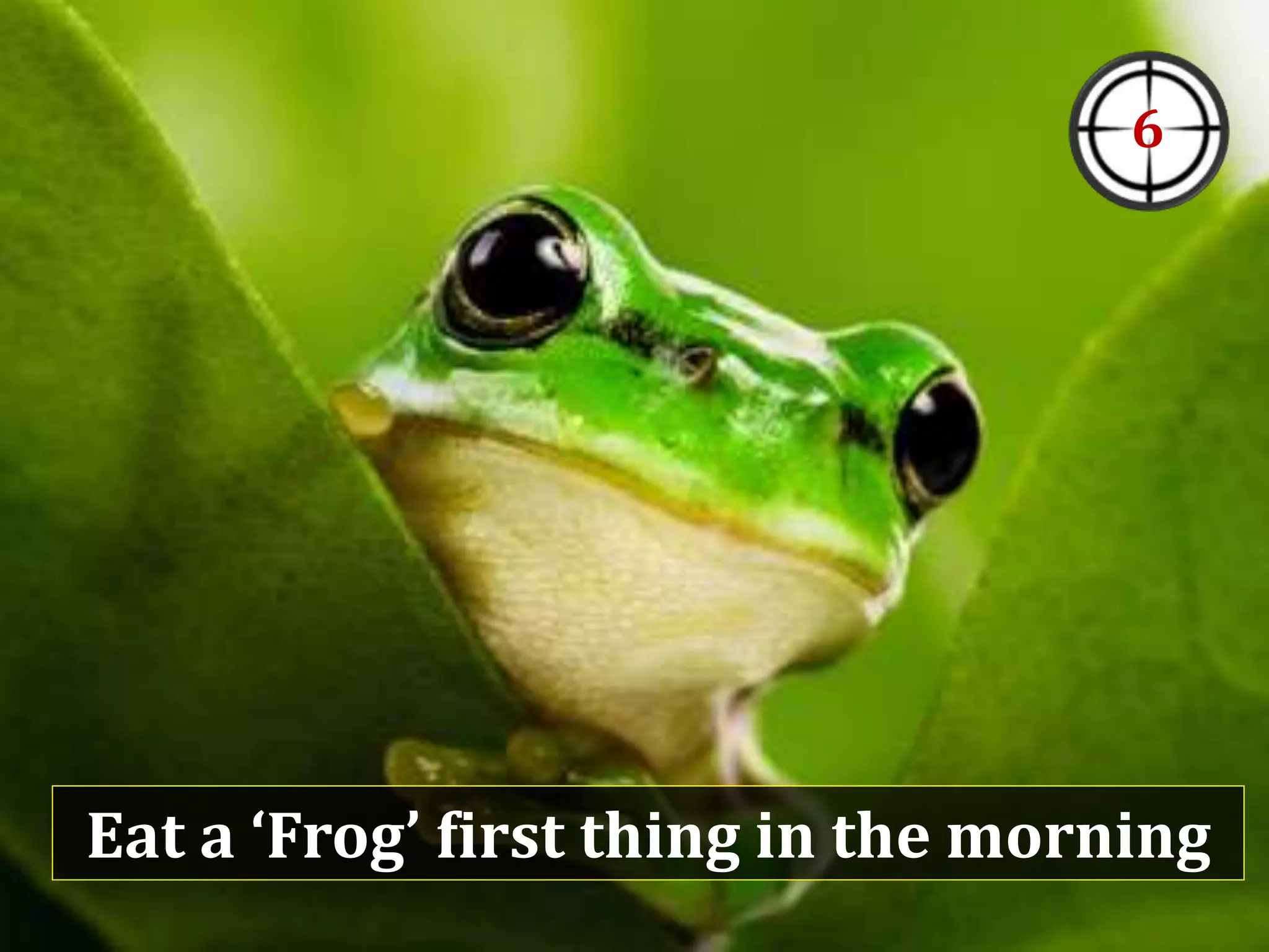 Eat a ‘Frog’ first thing in the morning
6
 