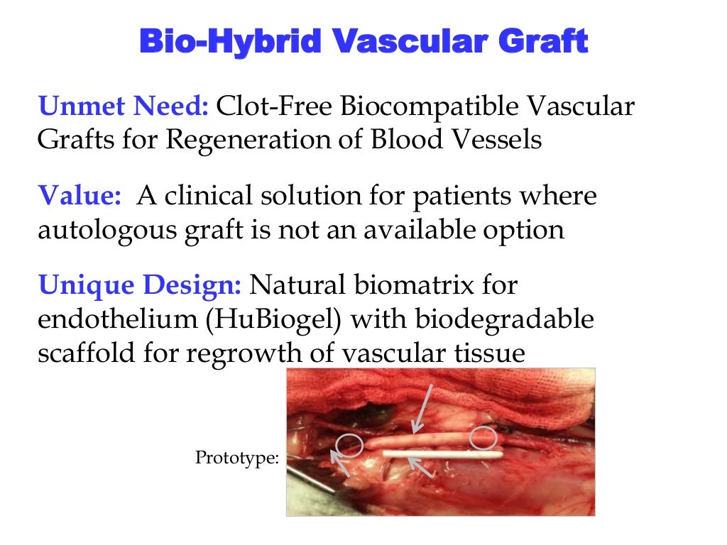 BioHybrid Vascular Graft Unmet Need