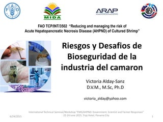 FAO TCP/INT/3502 “Reducing and managing the risk of
Acute Hepatopancreatic Necrosis Disease (AHPND) of Cultured Shrimp”
Riesgos y Desafios de
Bioseguridad de la
industria del camaron
Victoria Alday-Sanz
D.V.M., M.Sc, Ph.D
victoria_alday@yahoo.com
6/24/2015
International Technical Seminar/Workshop “EMS/AHPND: Government, Scientist and Farmer Responses”
22-24 June 2015, Tryp Hotel, Panama City 1
 