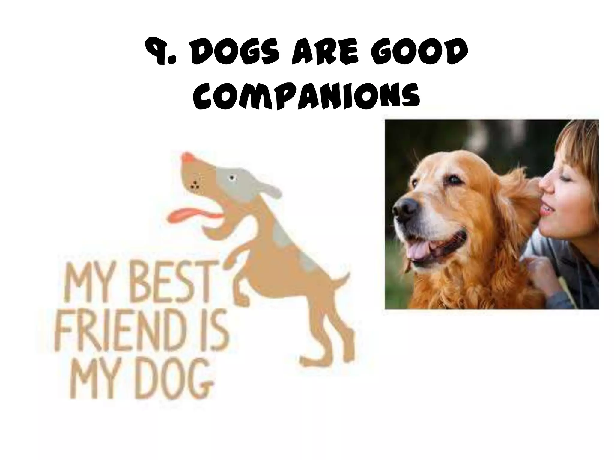 21 reasons why we should get a dog PPTX