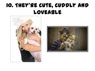 10. They’re cute, cuddly and
          loveable
 