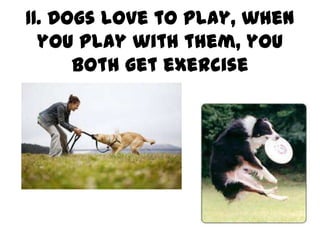 11. Dogs love to play, when
  you play with them, you
      both get exercise
 