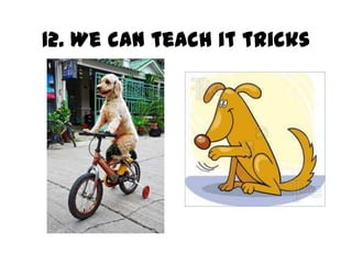 12. We can teach it tricks
 