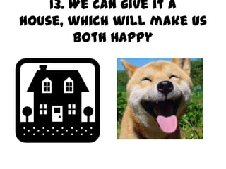13. We can give it a
house, which will make us
        both happy
 