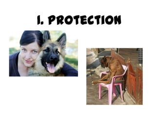1. Protection
 