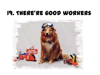 19. There’re good workers
 