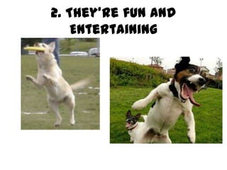 2. They’re fun and
    Entertaining
 