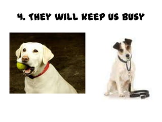 4. They will keep us busy
 