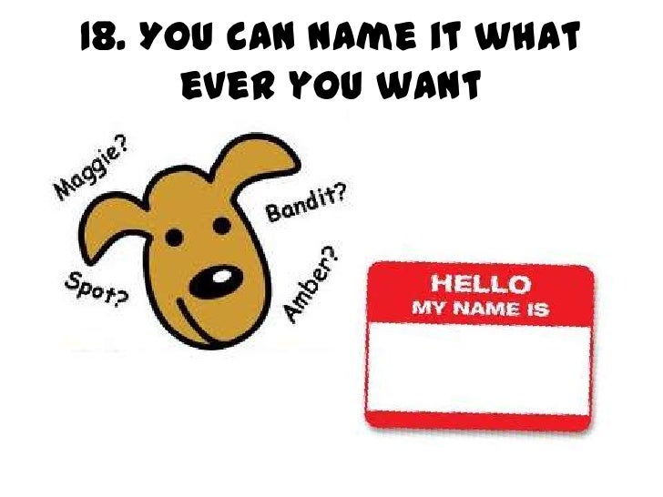 21 reasons why we should get a dog