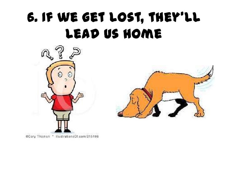 21 reasons why we should get a dog