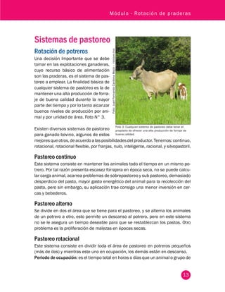 Módulo - R otación de prad eras 
13 
Sistemas de pastoreo 
Rotación de potreros 
Una decisión Importante que se debe 
tomar en las explotaciones ganaderas, 
cuyo recurso básico de alimentación 
son las praderas, es el sistema de pas-toreo 
a emplear. La finalidad básica de 
cualquier sistema de pastoreo es la de 
mantener una alta producción de forra-je 
de buena calidad durante la mayor 
parte del tiempo y por lo tanto alcanzar 
buenos niveles de producción por ani-mal 
y por unidad de área. Foto N° 3. 
Existen diversos sistemas de pastoreo 
para ganado bovino, algunos de estos 
Foto 3: Cualquier sistema de pastoreo debe tener el 
propósito de ofrecer una alta producción de forraje de 
buena calidad. 
Foto: Juan Fernando Cardona Mejía – fedegan.fng 
mejores que otros, de acuerdo a las posibilidades del productor. Tenemos: continuo, 
rotacional, rotacional flexible, por franjas, nulo, inteligente, racional, y silvopastoril. 
Pastoreo continuo 
Este sistema consiste en mantener los animales todo el tiempo en un mismo po-trero. 
Por tal razón presenta escasez forrajera en época seca, no se puede calcu-lar 
carga animal, acarrea problemas de sobrepastoreo y sub pastoreo, demasiado 
desperdicio del pasto, mayor gasto energético del animal para la recolección del 
pasto, pero sin embargo, su aplicación trae consigo una menor inversión en cer-cas 
y bebederos. 
Pastoreo alterno 
Se divide en dos el área que se tiene para el pastoreo, y se alterna los animales 
de un potrero a otro, esto permite un descanso al potrero, pero en este sistema 
no se le asegura un tiempo deseable para que se restablezcan los pastos. Otro 
problema es la proliferación de malezas en épocas secas. 
Pastoreo rotacional 
Este sistema consiste en dividir toda el área de pastoreo en potreros pequeños 
(más de dos) y mientras este uno en ocupación, los demás están en descanso. 
Periodo de ocupación: es el tiempo total en horas o días que un animal o grupo de 
 