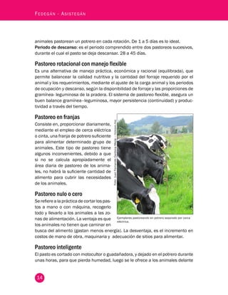 Fedegán - Asistegán 
animales pastorean un potrero en cada rotación. De 1 a 5 días es lo ideal. 
Periodo de descanso: es el periodo comprendido entre dos pastoreos sucesivos, 
durante el cual el pasto se deja descansar. 28 a 45 días. 
Pastoreo rotacional con manejo flexible 
Es una alternativa de manejo práctica, económica y racional (equilibrada), que 
permite balancear la calidad nutritiva y la cantidad del forraje requerido por el 
animal y los requerimientos, mediante el ajuste de la carga animal y los periodos 
de ocupación y descanso, según la disponibilidad de forraje y las proporciones de 
gramínea- leguminosa de la pradera. El sistema de pastoreo flexible, asegura un 
buen balance gramínea–leguminosa, mayor persistencia (continuidad) y produc-tividad 
14 
a través del tiempo. 
Pastoreo en franjas 
Consiste en, proporcionar diariamente, 
mediante el empleo de cerca eléctrica 
o cinta, una franja de potrero suficiente 
para alimentar determinado grupo de 
animales. Este tipo de pastoreo tiene 
algunos inconvenientes, debido a que 
si no se calcula apropiadamente el 
área diaria de pastoreo de los anima-les, 
no habrá la suficiente cantidad de 
alimento para cubrir las necesidades 
de los animales. 
Pastoreo nulo o cero 
Se refiere a la práctica de cortar los pas-tos 
a mano o con máquina, recogerlo 
todo y llevarlo a los animales a las zo-nas 
de alimentación. La ventaja es que 
los animales no tienen que caminar en 
Foto: Juan Fernando Cardona Mejía – fedegan.fng 
Ejemplares pastoreando en potrero separado por cerca 
eléctrica. 
busca del alimento (gastan menos energía). La desventaja, es el incremento en 
costos de mano de obra, maquinaria y adecuación de sitios para alimentar. 
Pastoreo inteligente 
El pasto es cortado con motocultor o guadañadora, y dejado en el potrero durante 
unas horas, para que pierda humedad, luego se le ofrece a los animales delante 
 