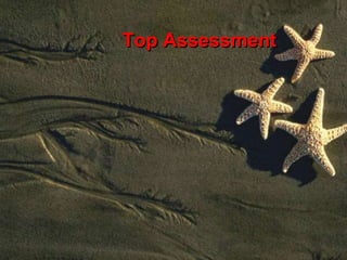 Top Assessment
 