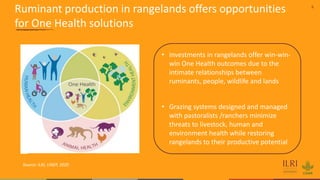 9
Ruminant production in rangelands offers opportunities
for One Health solutions
• Investments in rangelands offer win-win-
win One Health outcomes due to the
intimate relationships between
ruminants, people, wildlife and lands
• Grazing systems designed and managed
with pastoralists /ranchers minimize
threats to livestock, human and
environment health while restoring
rangelands to their productive potential
Source: ILRI, UNEP, 2020
 