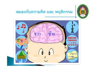 สมองกับความคิด และ พฤติกรรม
 