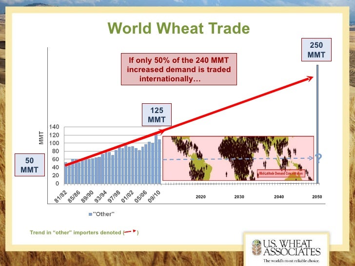 World Wheat Outlook