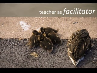 teacher as  facilitator 