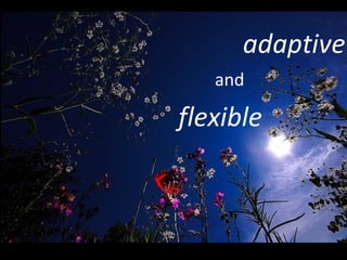 adaptive and flexible 