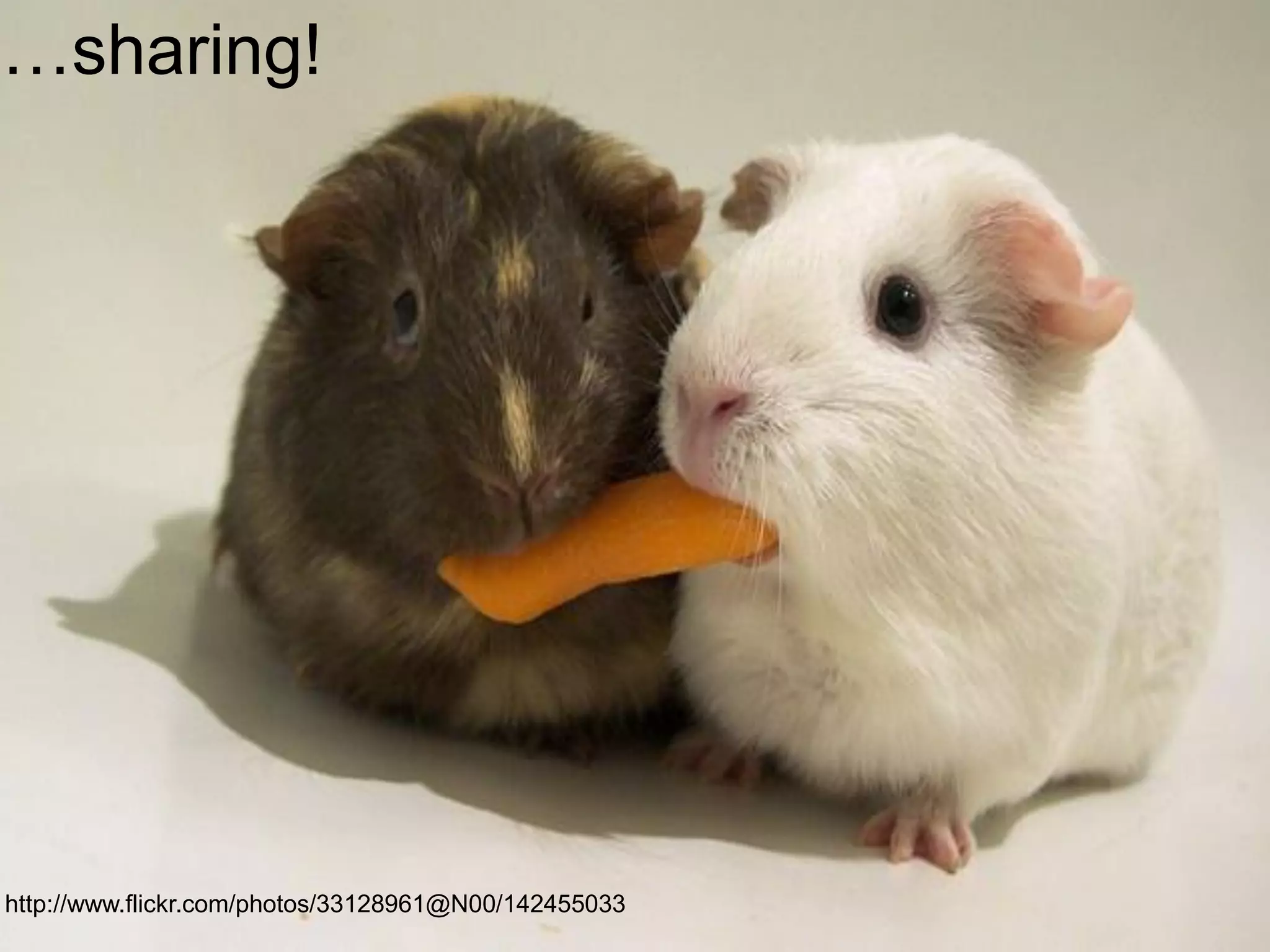 …sharing!

http://www.flickr.com/photos/33128961@N00/142455033

 