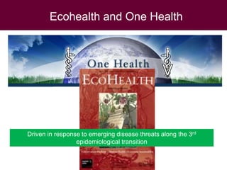 Twenty-first Century disease threats, epidemiology and One Health