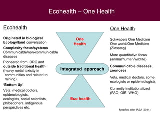 Twenty-first Century disease threats, epidemiology and One Health