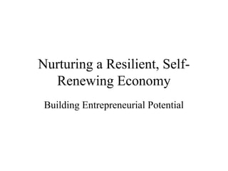 Nurturing a Resilient, Self-
  Renewing Economy
 Building Entrepreneurial Potential
 