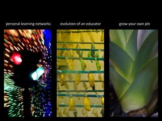 personal learning networks evolution of an educator grow your own pln 