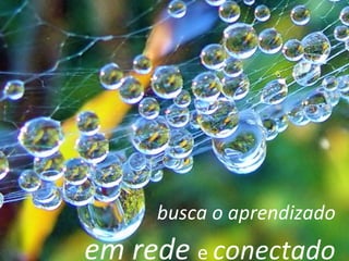 busca o aprendizado em rede  e  conectado 