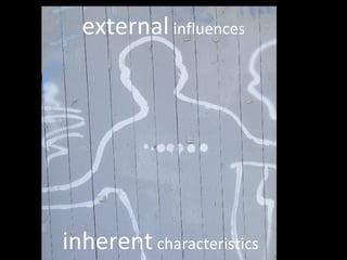 external  influences inherent  characteristics 