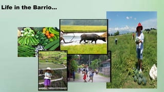 Life in the Barrio…
 