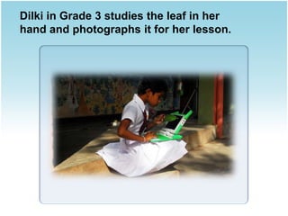 Dilki in Grade 3 studies the leaf in her
hand and photographs it for her lesson.
 