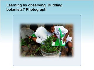 Learning by observing. Budding
botanists? Photograph
 