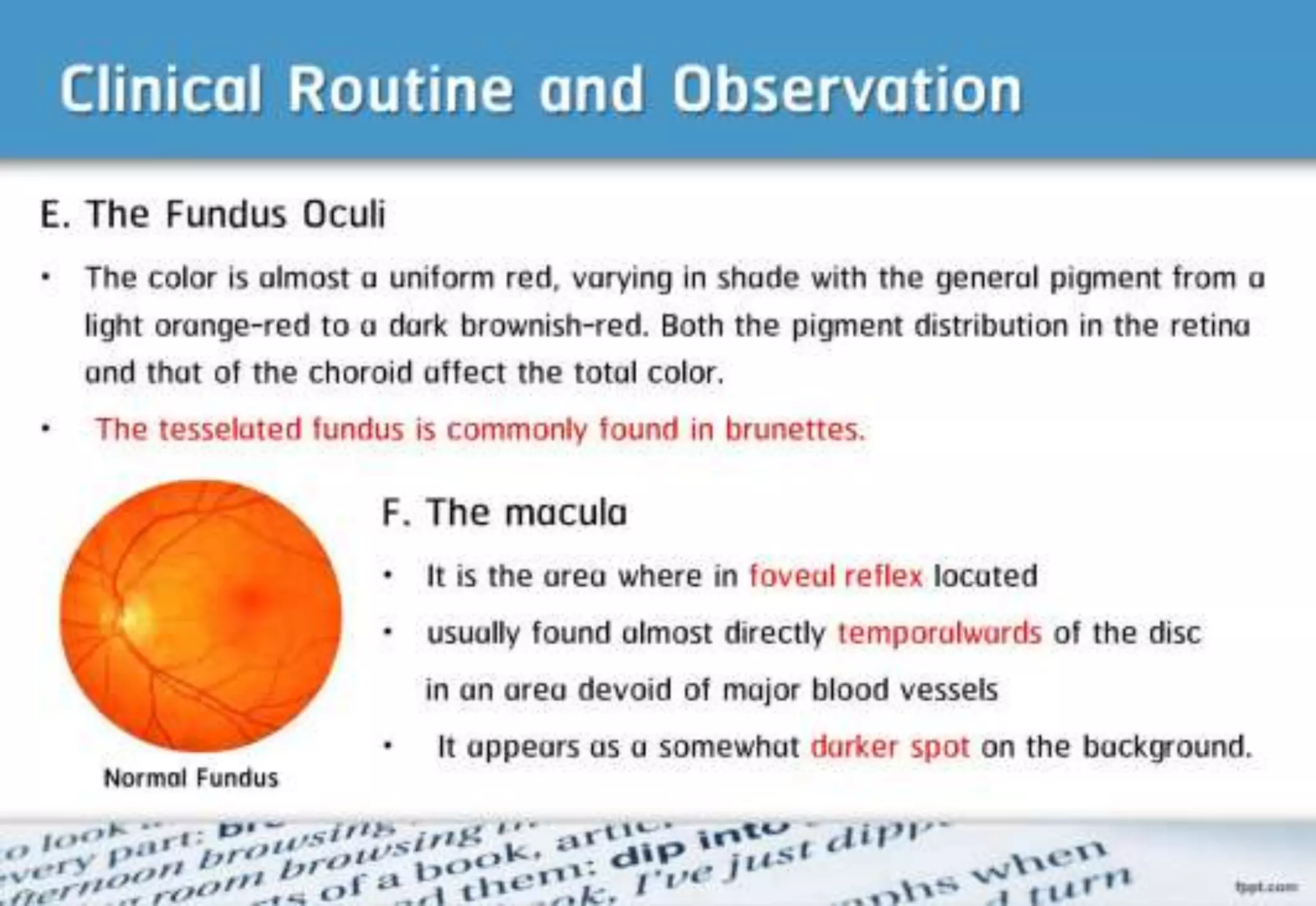 21 step-Diagnosis Procedure Refraction