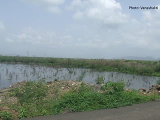 Photo: Vanashakti

8

 