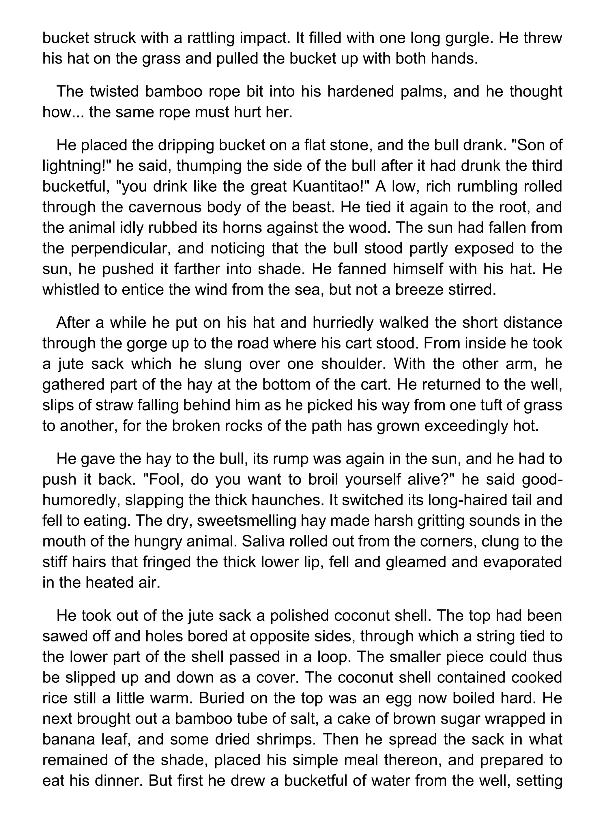bucket struck with a rattling impact. It filled with one long gurgle. He threw
his hat on the grass and pulled the bucket up with both hands.
The twisted bamboo rope bit into his hardened palms, and he thought
how... the same rope must hurt her.
He placed the dripping bucket on a flat stone, and the bull drank. "Son of
lightning!" he said, thumping the side of the bull after it had drunk the third
bucketful, "you drink like the great Kuantitao!" A low, rich rumbling rolled
through the cavernous body of the beast. He tied it again to the root, and
the animal idly rubbed its horns against the wood. The sun had fallen from
the perpendicular, and noticing that the bull stood partly exposed to the
sun, he pushed it farther into shade. He fanned himself with his hat. He
whistled to entice the wind from the sea, but not a breeze stirred.
After a while he put on his hat and hurriedly walked the short distance
through the gorge up to the road where his cart stood. From inside he took
a jute sack which he slung over one shoulder. With the other arm, he
gathered part of the hay at the bottom of the cart. He returned to the well,
slips of straw falling behind him as he picked his way from one tuft of grass
to another, for the broken rocks of the path has grown exceedingly hot.
He gave the hay to the bull, its rump was again in the sun, and he had to
push it back. "Fool, do you want to broil yourself alive?" he said good-
humoredly, slapping the thick haunches. It switched its long-haired tail and
fell to eating. The dry, sweetsmelling hay made harsh gritting sounds in the
mouth of the hungry animal. Saliva rolled out from the corners, clung to the
stiff hairs that fringed the thick lower lip, fell and gleamed and evaporated
in the heated air.
He took out of the jute sack a polished coconut shell. The top had been
sawed off and holes bored at opposite sides, through which a string tied to
the lower part of the shell passed in a loop. The smaller piece could thus
be slipped up and down as a cover. The coconut shell contained cooked
rice still a little warm. Buried on the top was an egg now boiled hard. He
next brought out a bamboo tube of salt, a cake of brown sugar wrapped in
banana leaf, and some dried shrimps. Then he spread the sack in what
remained of the shade, placed his simple meal thereon, and prepared to
eat his dinner. But first he drew a bucketful of water from the well, setting
 