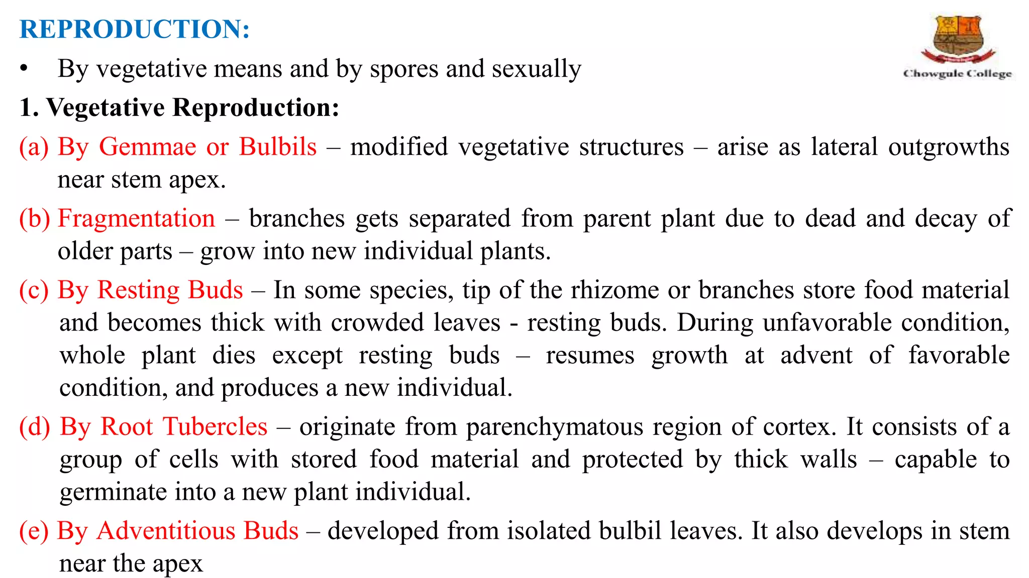 REPRODUCTION:
• By vegetative means and by spores and sexually
1. Vegetative Reproduction:
(a) By Gemmae or Bulbils – modified vegetative structures – arise as lateral outgrowths
near stem apex.
(b) Fragmentation – branches gets separated from parent plant due to dead and decay of
older parts – grow into new individual plants.
(c) By Resting Buds – In some species, tip of the rhizome or branches store food material
and becomes thick with crowded leaves - resting buds. During unfavorable condition,
whole plant dies except resting buds – resumes growth at advent of favorable
condition, and produces a new individual.
(d) By Root Tubercles – originate from parenchymatous region of cortex. It consists of a
group of cells with stored food material and protected by thick walls – capable to
germinate into a new plant individual.
(e) By Adventitious Buds – developed from isolated bulbil leaves. It also develops in stem
near the apex
 