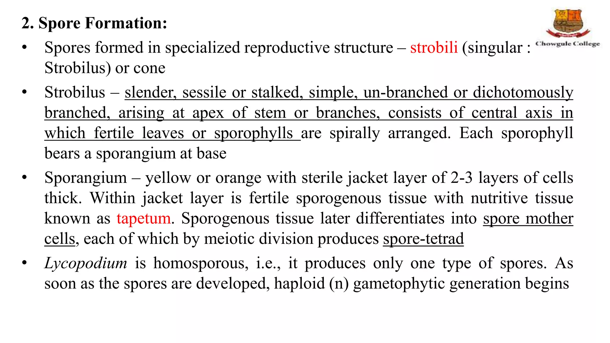 2. Spore Formation:
• Spores formed in specialized reproductive structure – strobili (singular :
Strobilus) or cone
• Strobilus – slender, sessile or stalked, simple, un-branched or dichotomously
branched, arising at apex of stem or branches, consists of central axis in
which fertile leaves or sporophylls are spirally arranged. Each sporophyll
bears a sporangium at base
• Sporangium – yellow or orange with sterile jacket layer of 2-3 layers of cells
thick. Within jacket layer is fertile sporogenous tissue with nutritive tissue
known as tapetum. Sporogenous tissue later differentiates into spore mother
cells, each of which by meiotic division produces spore-tetrad
• Lycopodium is homosporous, i.e., it produces only one type of spores. As
soon as the spores are developed, haploid (n) gametophytic generation begins
 