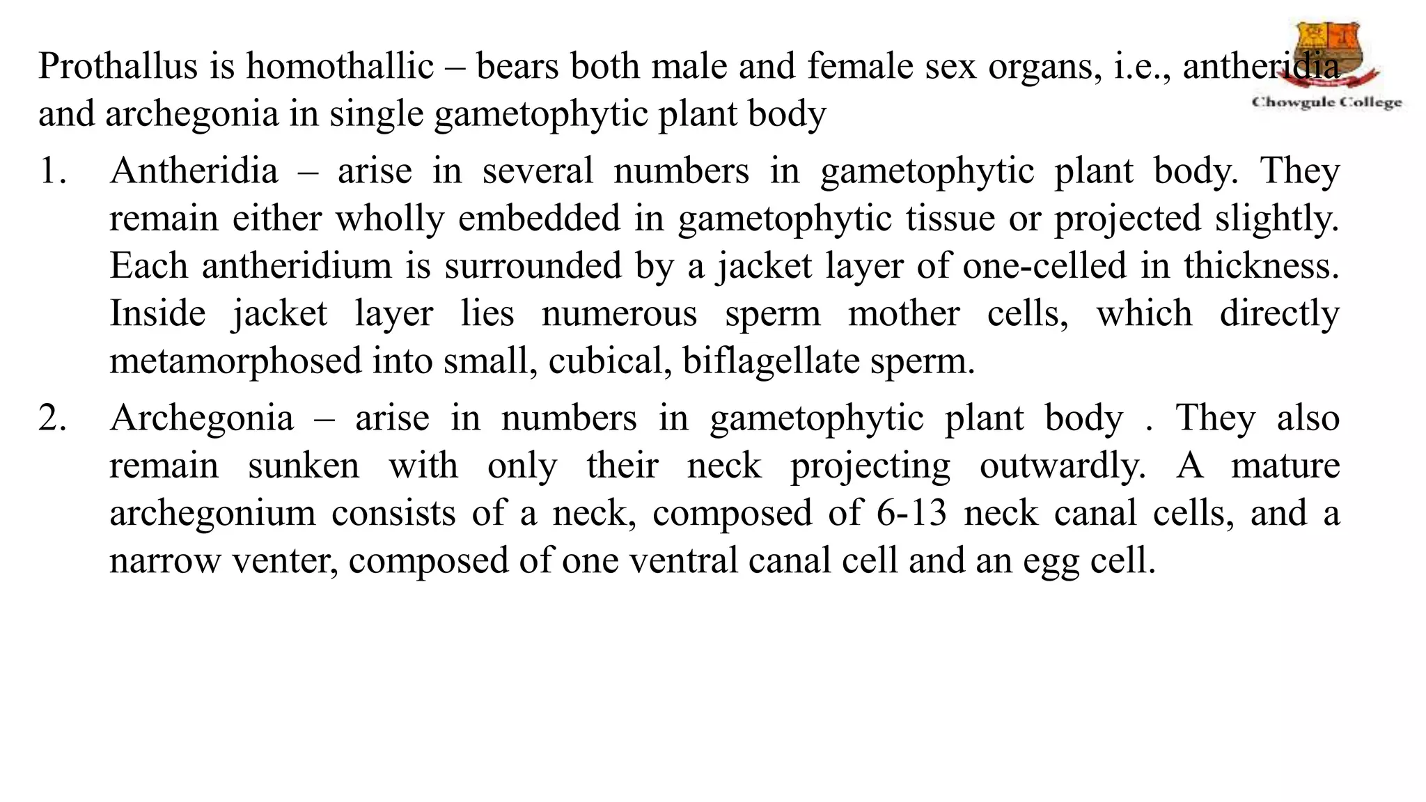 Prothallus is homothallic – bears both male and female sex organs, i.e., antheridia
and archegonia in single gametophytic plant body
1. Antheridia – arise in several numbers in gametophytic plant body. They
remain either wholly embedded in gametophytic tissue or projected slightly.
Each antheridium is surrounded by a jacket layer of one-celled in thickness.
Inside jacket layer lies numerous sperm mother cells, which directly
metamorphosed into small, cubical, biflagellate sperm.
2. Archegonia – arise in numbers in gametophytic plant body . They also
remain sunken with only their neck projecting outwardly. A mature
archegonium consists of a neck, composed of 6-13 neck canal cells, and a
narrow venter, composed of one ventral canal cell and an egg cell.
 