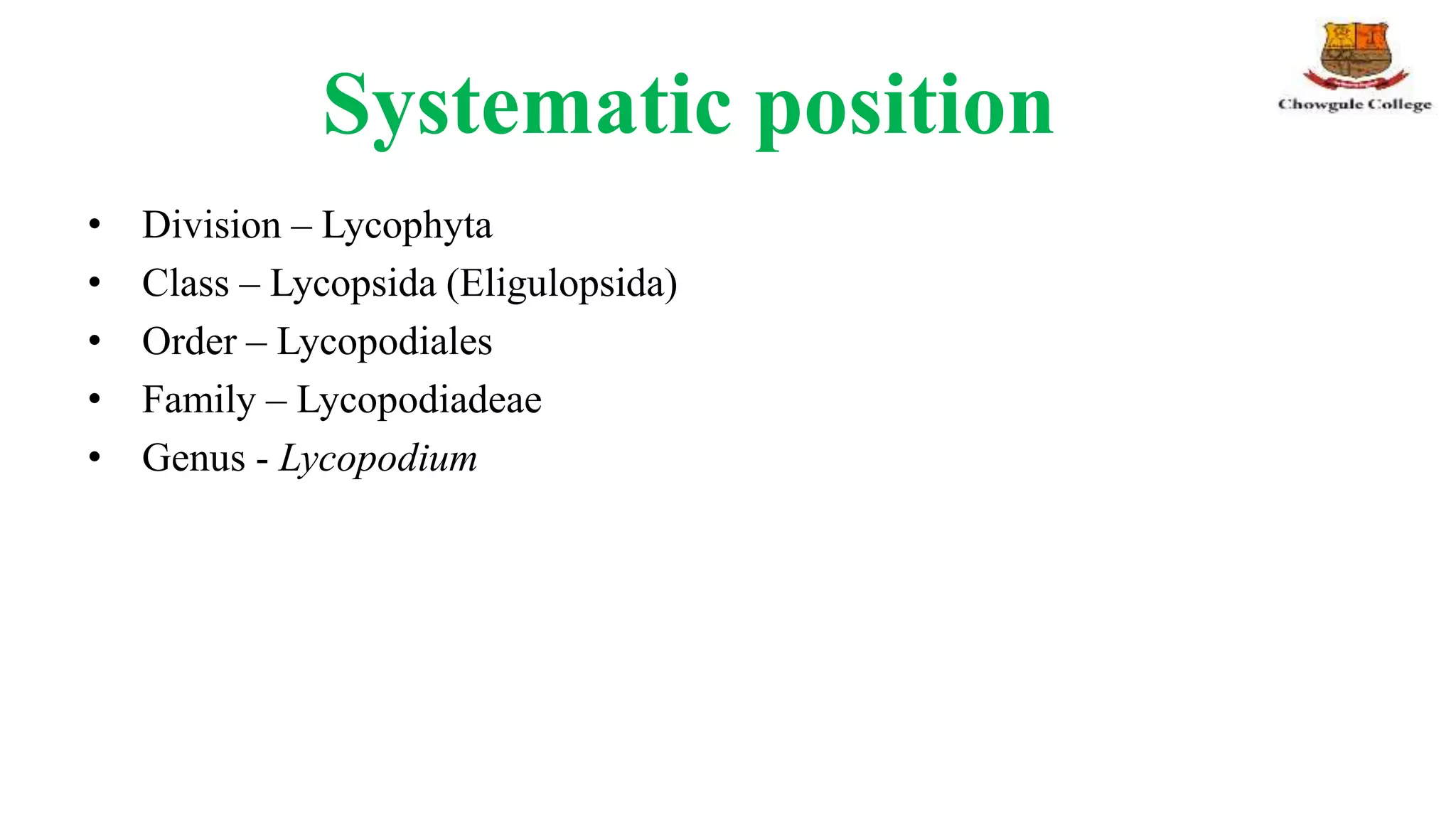 Systematic position
• Division – Lycophyta
• Class – Lycopsida (Eligulopsida)
• Order – Lycopodiales
• Family – Lycopodiadeae
• Genus - Lycopodium
 