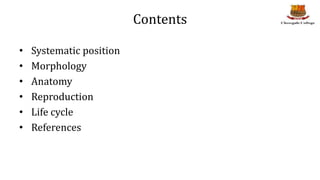 Contents
• Systematic position
• Morphology
• Anatomy
• Reproduction
• Life cycle
• References
 