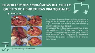 cabeza-y-cuello-evaluaci-n-quir-rgica-pptx