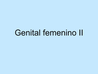 Genital femenino II
 