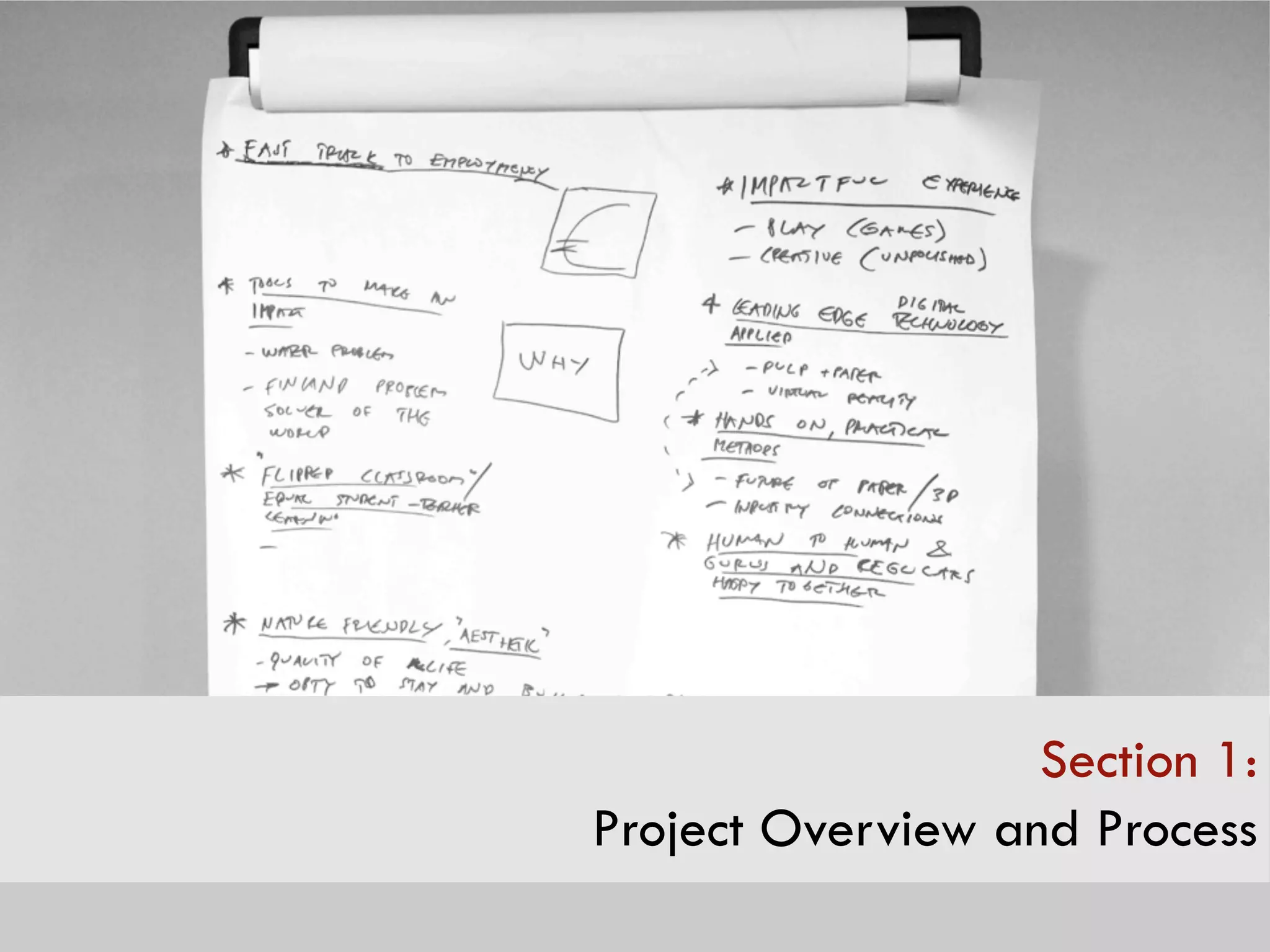 Section 1:
Project Overview and Process
 